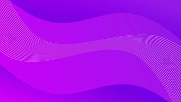Purple Wavy Lines Abstract Loop Background. video