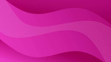 Pink Wavy Lines Abstract Loop Background. video