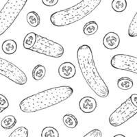 Seamless pattern with cucumber. Hand drawn illustration. vector