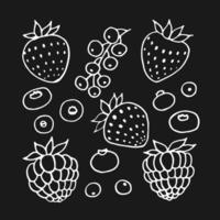 Set of berries. Hand drawn illustration in outline style. vector