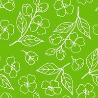Seamless pattern with leaves and flowers of jasmine. Hand drawn illustration. vector