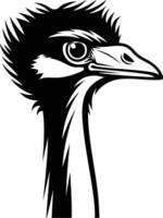Emu head silhouette on white background vector