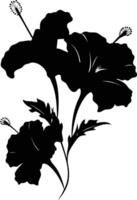 Black and white hibiscus flowers on a white background vector