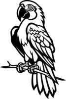 A parrot sitting on a branch with a black and white outline vector