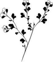 Black and white drawing of a branch with flowers vector