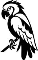 A parrot on a branch with a black and white outline vector