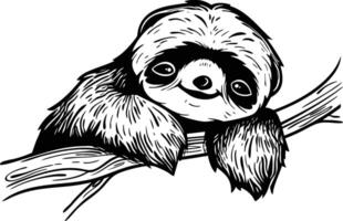 Sloth on a branch vector