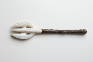 Unique seashell tool on plain background photo