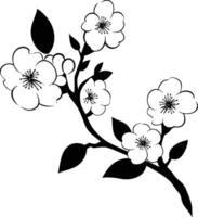 A black and white drawing of a cherry blossom vector