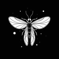 A moth with a white outline on a black background vector
