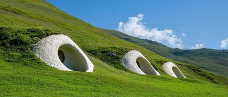 Unusual white dome structures in a grassy field photo