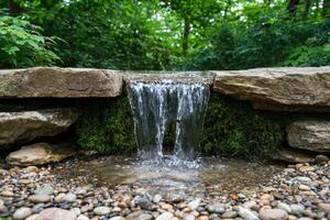 Tranquil forest waterfall flowing over mossy rocks photo