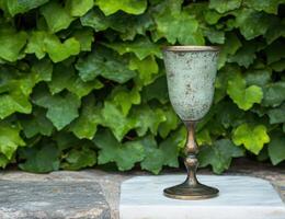 Vintage metal goblet on stone ledge with lush green foliage background photo