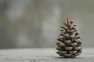 Closeup of a pine cone on a wooden surface photo