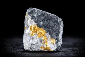 Closeup of a natural gold nugget embedded in quartz rock photo