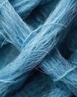 Intricate web of delicate fibers photo