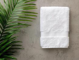 fresh green leaves and white towel on concrete background photo