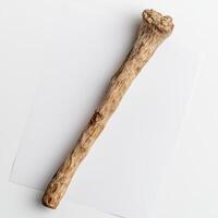 Rustic wooden stick on plain background photo