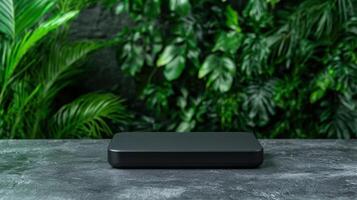 A black box sitting on a table in front of a green plant photo
