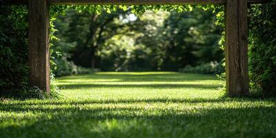A wooden archway in a lush green field photo