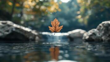 A leaf floating in the water with rocks and trees photo