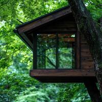 Cozy wooden cabin in lush green forest photo