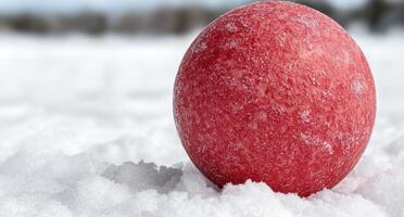 Frozen red apple in snow photo