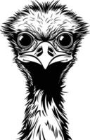 An ostrich head with big eyes and a big beak vector