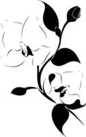 A black and white drawing of a flower vector