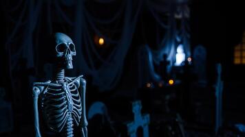 plastic skeleton stands against a spooky background photo