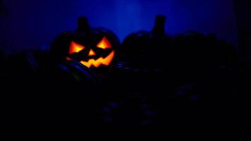 lighted jack-o-lantern stands out among a group pumpkins a blue glow photo