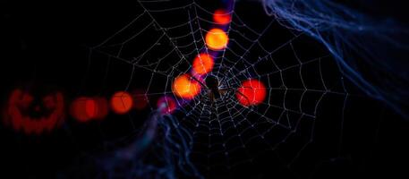 spider sits the center an intricate web against a dark background with blurry red lights. photo