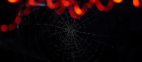 close- an intricate spider web with soft lights photo