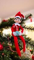 plush elf toy perched on a christmas tree photo