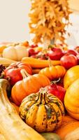 bountiful display autumn gourds photo
