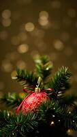 festive christmas ornament on a evergreen branch photo