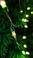 string miniature lights on a green artificial tree photo