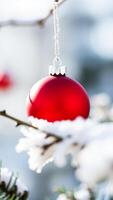 red ornament hanging from a snowy branch photo