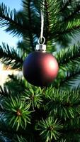 single red bauble hangs on a green evergreen tree photo