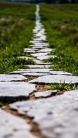stone path through a green grass field photo