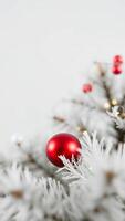 red ornament on a white christmas tree photo