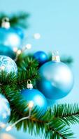 blue christmas ornaments on a tree branch photo