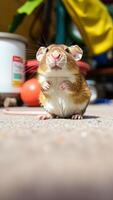 small rodent looking directly at the camera photo