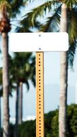 blank sign with palm trees the background photo