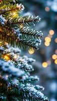 cubierto de nieve pino rama con brillante luces foto