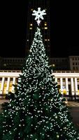 decorado hojas perennes árbol iluminado con blanco luces foto