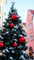 Nevado hojas perennes árbol decorado con rojo adornos espumoso luces foto