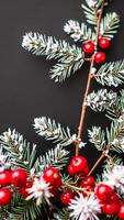 frosted evergreen branch with red berries photo