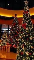 Tres decorado Navidad arboles con centelleo luces adornos foto