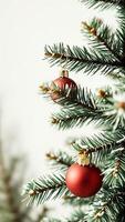 two red ornaments on a snowy pine branch photo